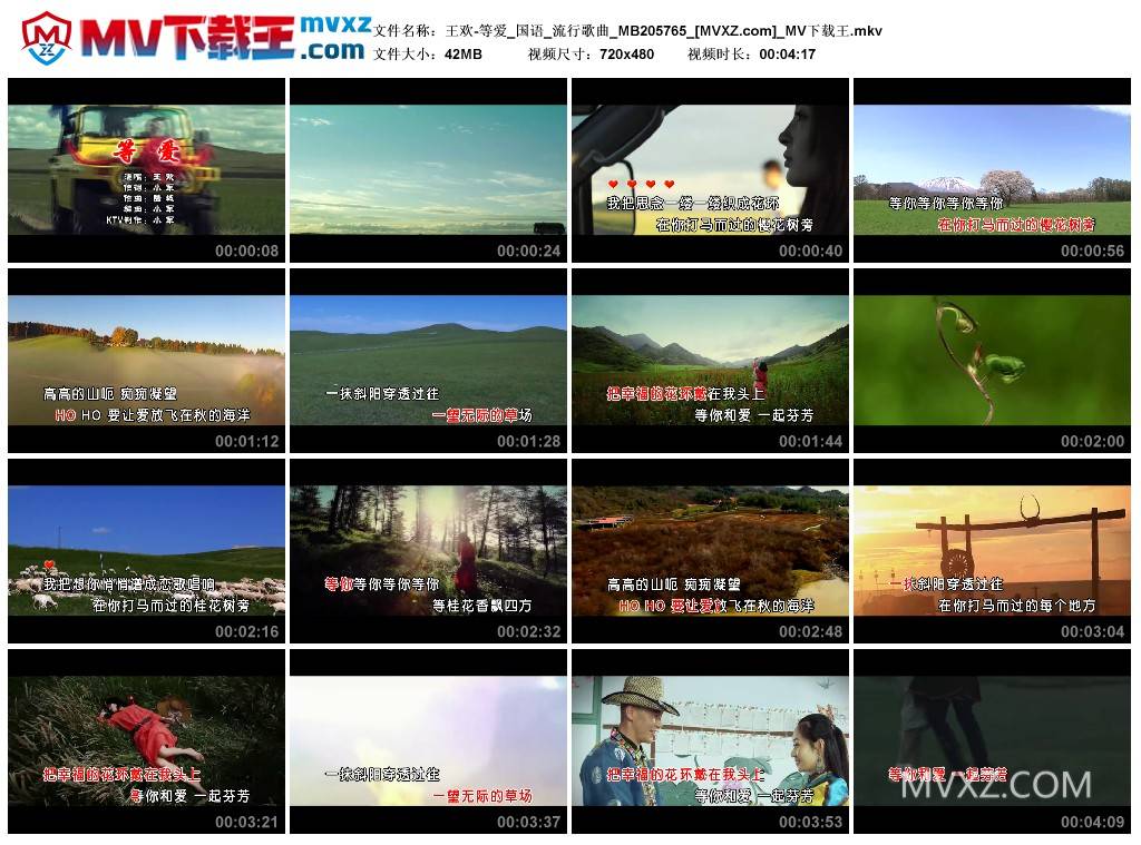 王欢-等爱_国语_流行歌曲_MB205765